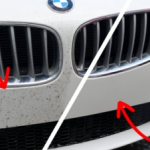 Ako sa zbaviť otravného hmyzu z kapoty vozidla? Máme pre vás riešenie! - čisticí prostředky - ekoGRADO